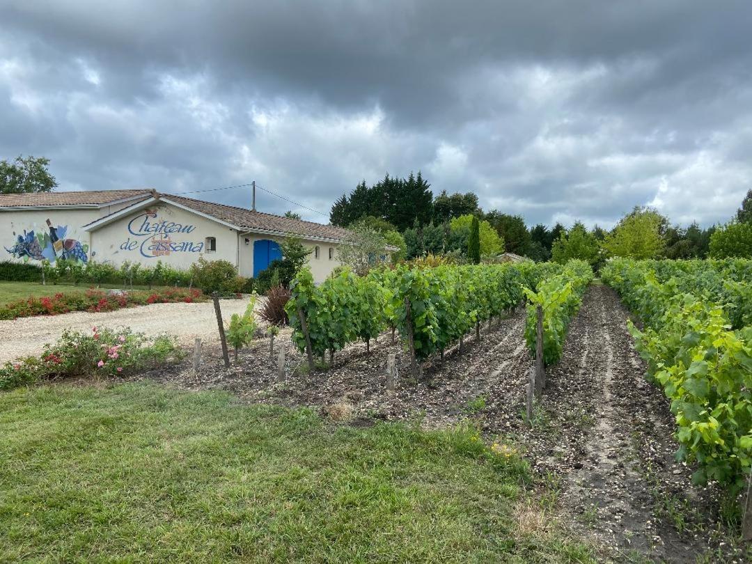 Vila Domaine Du Cassana Saint-Sauveur  Exteriér fotografie